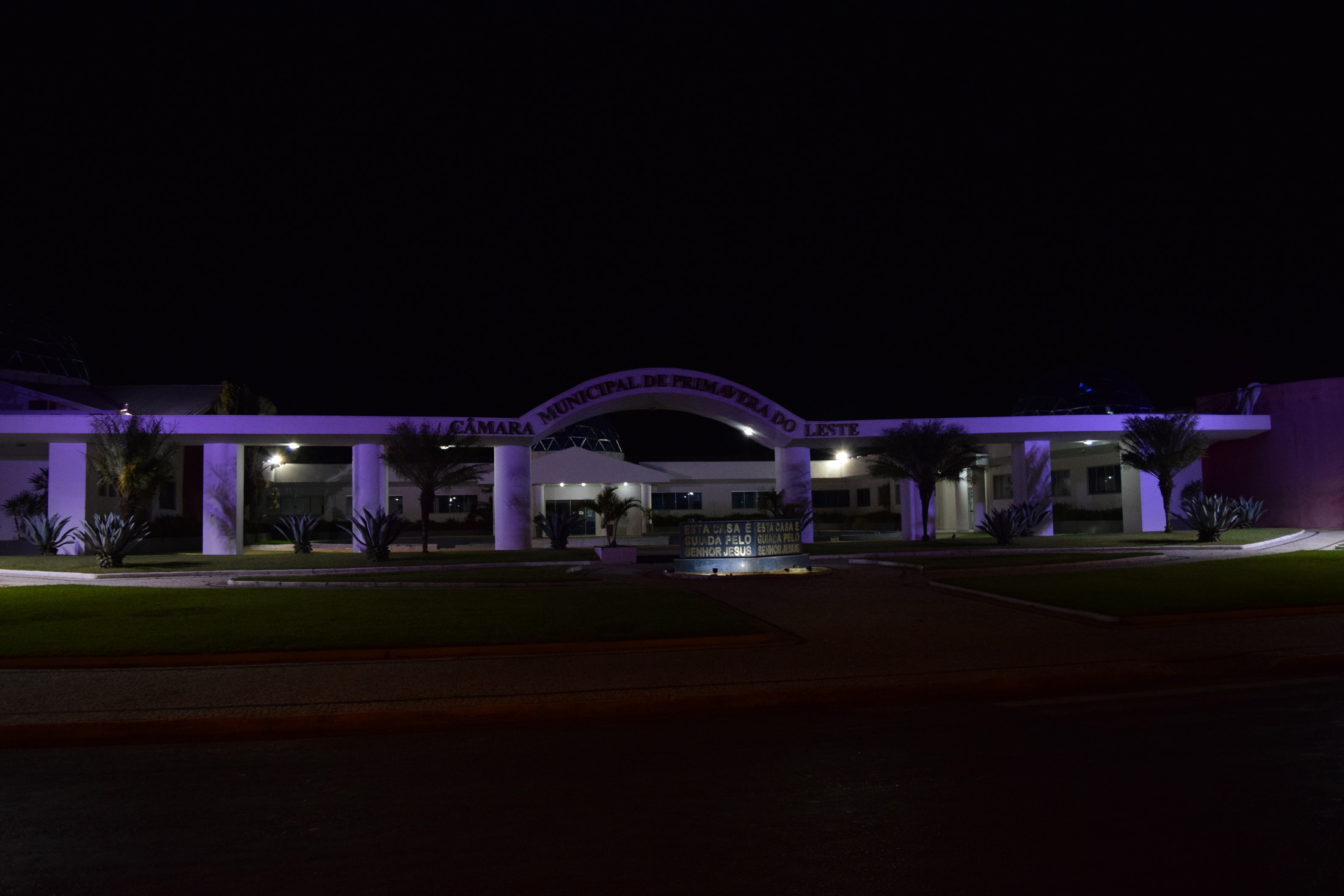 DSC_0768.jpg