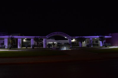 DSC_0768.jpg