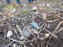 Ação de limpeza da nascente afluente do Córrego Traíra.jpg
