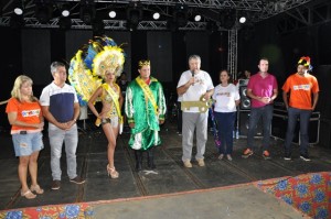 folia8-300x199.jpg