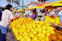 Josafá cobra “Feiras Itinerantes” nos bairros de Primavera