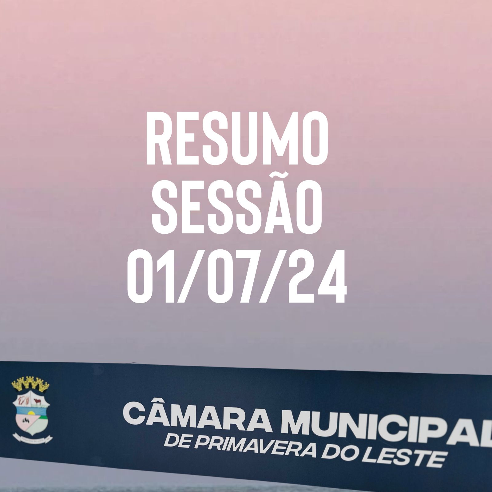 RESUMO SESSÃO 01/07