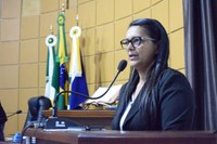 VEREADORES DESTACAM REVISÃO TERRITORIAL EM PRIMAVERA