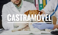Projeto CastraMóvel tramita na Casa e recebe apoio de todos Vereadores   
