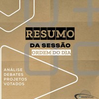 VEREADORES SE UNEM CONTRA PERTURBAÇÃO DO SOSSEGO EM PRIMAVERA